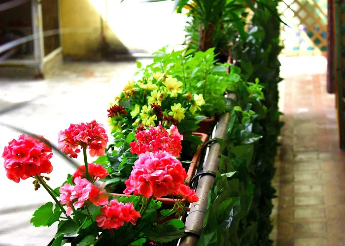 Legend R.g. Hostel